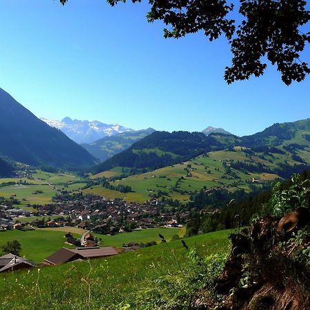 Sonnegg Hotel Zweisimmen Εξωτερικό φωτογραφία