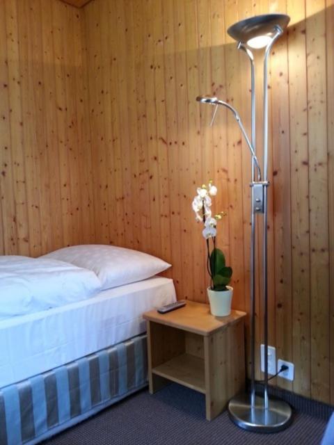 Sonnegg Hotel Zweisimmen Εξωτερικό φωτογραφία