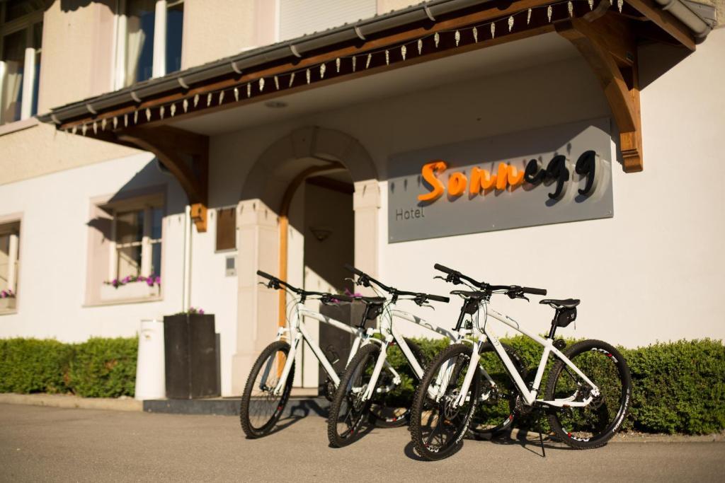 Sonnegg Hotel Zweisimmen Εξωτερικό φωτογραφία