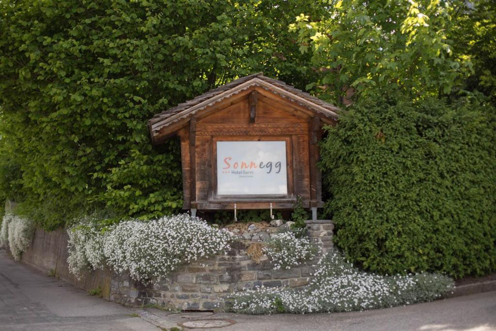Sonnegg Hotel Zweisimmen Εξωτερικό φωτογραφία